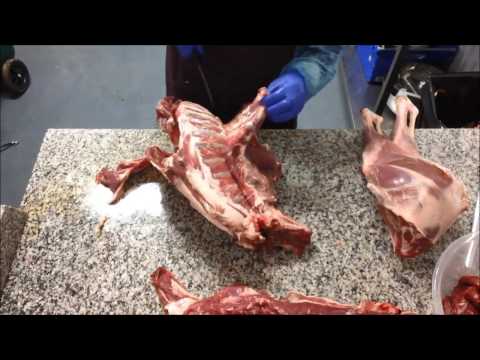 Home butchering a Sika Deer, Part 1- Boning and Trimming
