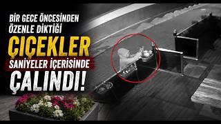 Bir Gece Öncesinden Özenle Diktiği Çiçekler Saniyeler İçerisinde Çalındı