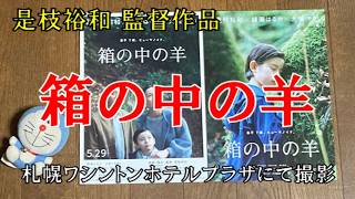 【映画レビュー】結局、何なの?　『箱の中の羊』 ※ネタバレあり