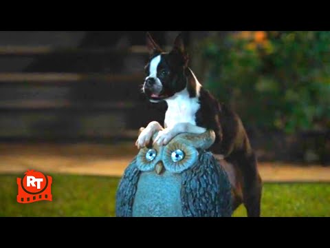 Strays (2023) - Drunk Dogs Doofy Scene | Movieclips