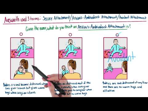 Which is anxious ambivalent attachment - Intro to Psychology