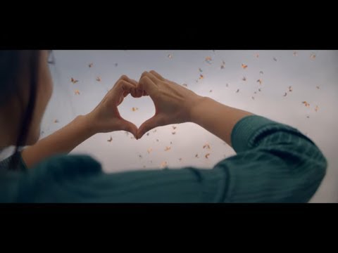 Kiran Krishnanunni M4Marry - South India's Fastest Growing Matrimony Website is here!