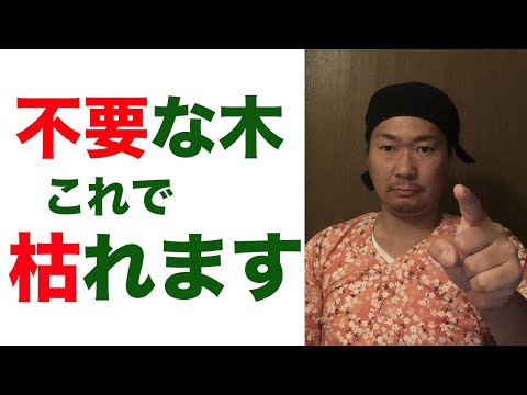 銅の釘で木が枯れることはありますか? トピックス