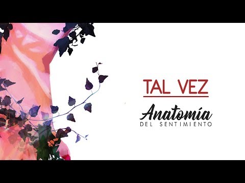 TAL VEZ [ANATOMÍA DEL SENTIMIENTO] 2018 - Brock Ansiolitiko