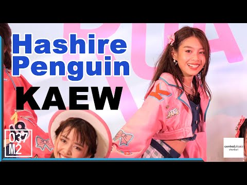200816 BNK48 Kaew - Hashire Penguin (วิ่งไปสิ...เพนกวิ้น) @ Road Show Chonburi [Fancam 4K60p]