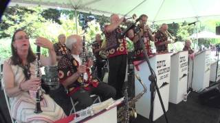 Devil Mountain Jazz Band  "Little Enough"