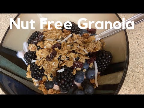 How To Make Nut Free Granola | Healthy Granola Recipe