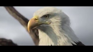 Assasin s Creed Фильм выйдет на экране в 2015 году!