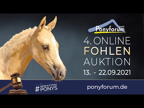 NEWLANDS DEE POINT HF v. Dating Point AT / Dance Star AT