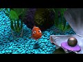 DENTISTA NEMO LATINO