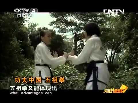 Five Ancestor Boxing - 五祖拳 Documentary (with English subtitles)