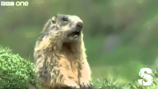 HEY! HEY! HEY! 10 MINUTES