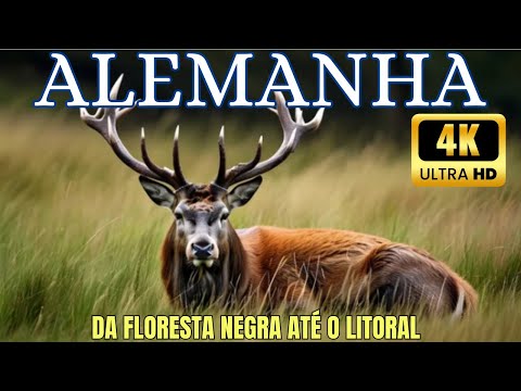 🌲Alemanha Selvagem - Um Documentário Épico da Floresta Negra 🌲 até o Litoral - Parte 1 EXTRA LONGO