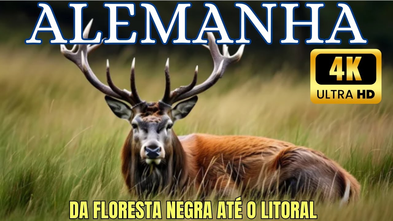 🌲Alemanha Selvagem - Um Documentário Épico da Floresta Negra 🌲 até o Litoral - Parte 1 EXTRA LONGO