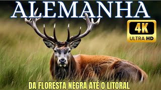🌲Alemanha Selvagem - Um Documentário Épico da Floresta Negra 🌲 até o Litoral - Parte 1 EXTRA LONGO