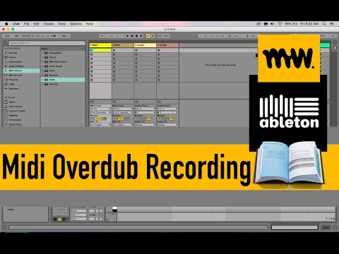 Midi Overdub - Everything you need to know - Session View Edition // #26