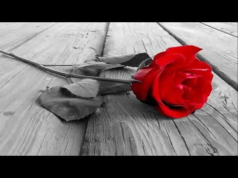 download lagu mp3 mp4 All Because Of Grace, download mp3 All Because Of Grace free downloadn, video klip All Because Of Grace