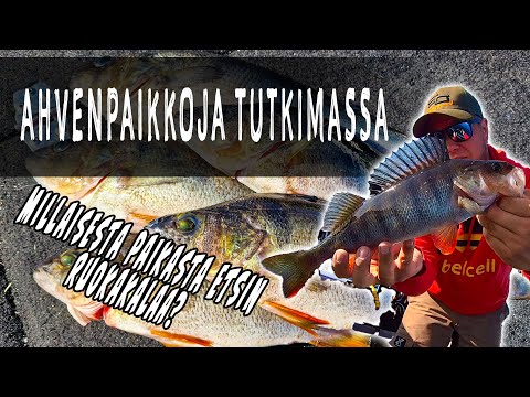 KESKIKESÄN AHVENEN JIGAUSTA | MISSÄ KALAT PIILESKELEE?