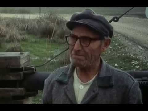 Thumbnail for video: Sohrab Shahid Saless   Tabiate bijan AKA Still Life 1974 1