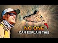 This Site In The Sahara Was Never Meant To Be Found