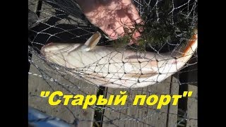 Рыбалка на днестре маяки старый порт о рыбалке