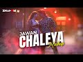 Chaleya Mega Mashup DJ Shadow Dubai JAWAN Heeriye X Dil Dooba X Calm Down