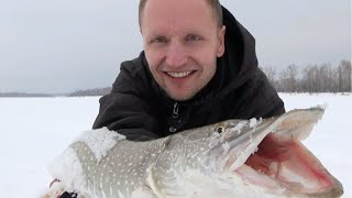 Рыбалка на щуку в челябинской области 2020 форум