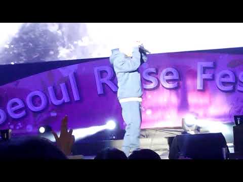 180519 Dok2 - 도박, 니가 싫어하는 노래, 내가, 연결고리 (중랑천 장미축제)