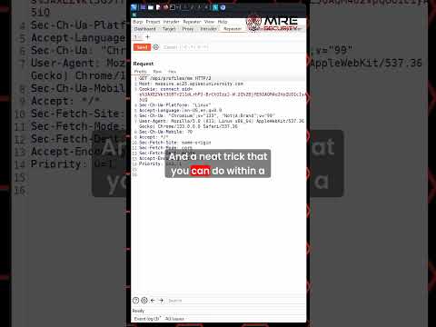 Can You REALLY Change API Requests in Seconds with Burp Suite