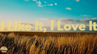 Tim McGraw - I Like It, I Love It (Lyrics)