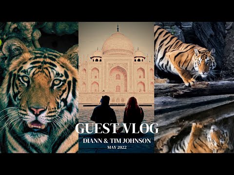 Taj ,Temple and Tiger Tour