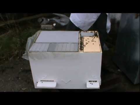 1. Prima vizita la Bio Stupul stationar / pe vatra 1/3