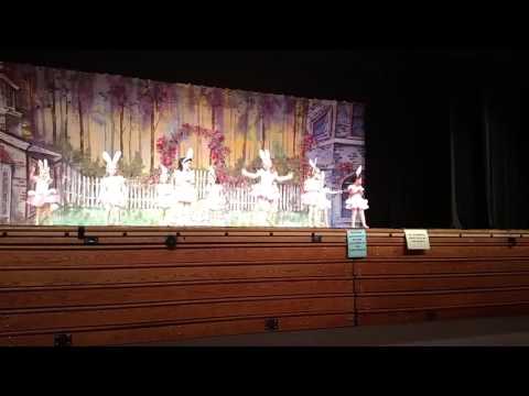 The Easter Bunny is Coming To Town