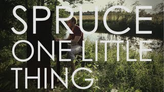 Spruce - One Little Thing