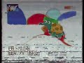 BabyTV Art Tortuga 7