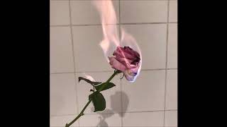 08. prxz - empty hearts