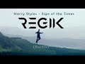 Harry Styles - Sign of the Times (REGIK Remix)