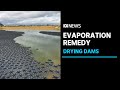 An innovative solution for WA's drying dams | ABC News