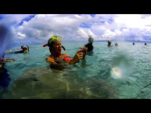 John Durst Tahiti vacation - Stingray Kiss