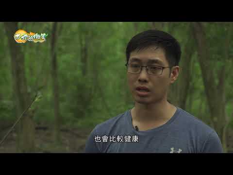 《土地的微笑》EP8 - 幸福雞的幸福蛋