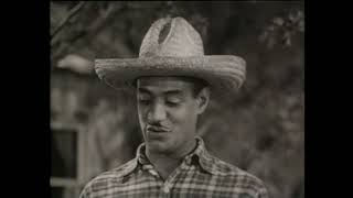 Rockin&#39; Chair (1942) - The Mills Brothers