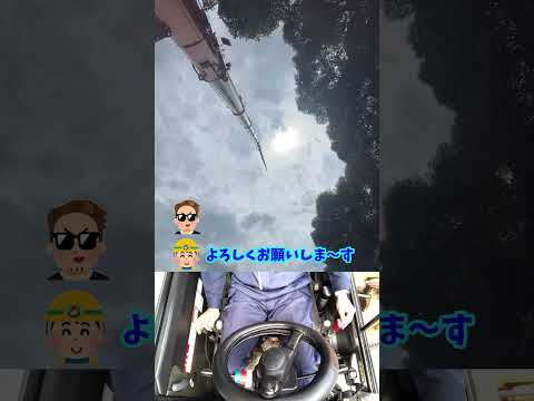 シベリアクレーンについて詳しく解説