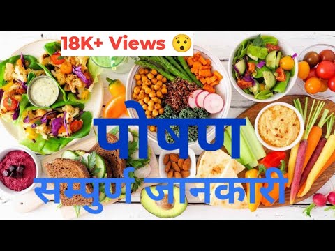 पोषणको बारेमा सम्पुर्ण जानकारी । All about Nutrition in Nepali. #nutritioninnepali #poshankobarema