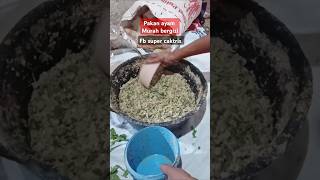 Download lagu Ternak ayam kampung dengan pakan ayam murah bergizi @supercaktris #shorts mp3 Download lagu Ternak ayam kampung dengan pakan ayam murah bergizi @supercaktris #shorts mp3