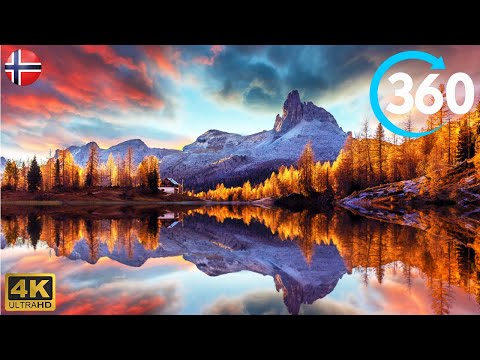 360° VR Nature - Morning Walk In The Forest - Norwegian Nature In Virtual Reality 4K