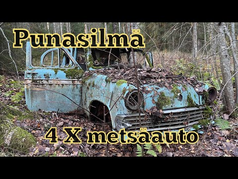 Punasilmä sekä neljä metsäautoa