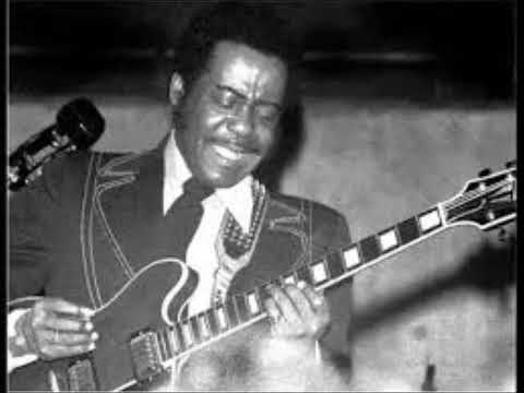 Eddie Taylor : Peach Tree Blues (1979)