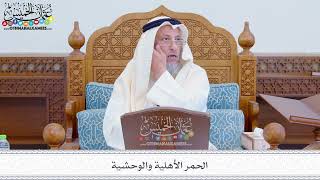 284 - الحمر الأهلية والوحشية - عثمان الخميس