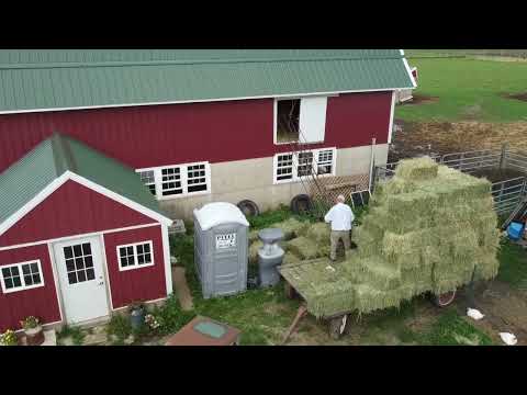 Patyk Farms for the cows   HD 1080p