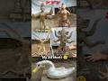 My All Murti Making Ram Ganesh Duck Mahadev ️ Shorts Trending
